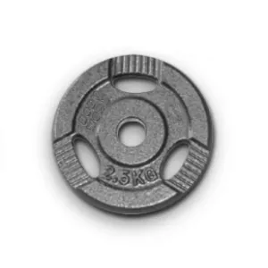 2.5kg Pair Standard Ezy Grip Iron Cast Weight Gym Plates 30mm
