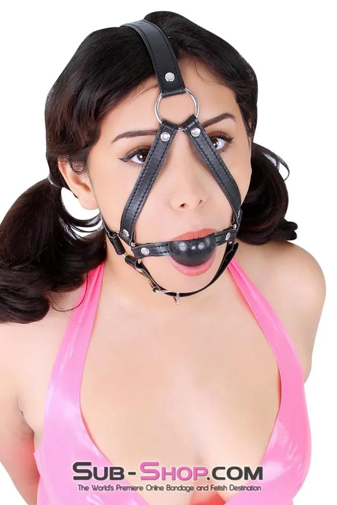 8994DL      Black Rubber Ballgag Bondage Trainer  - MEGA Deal