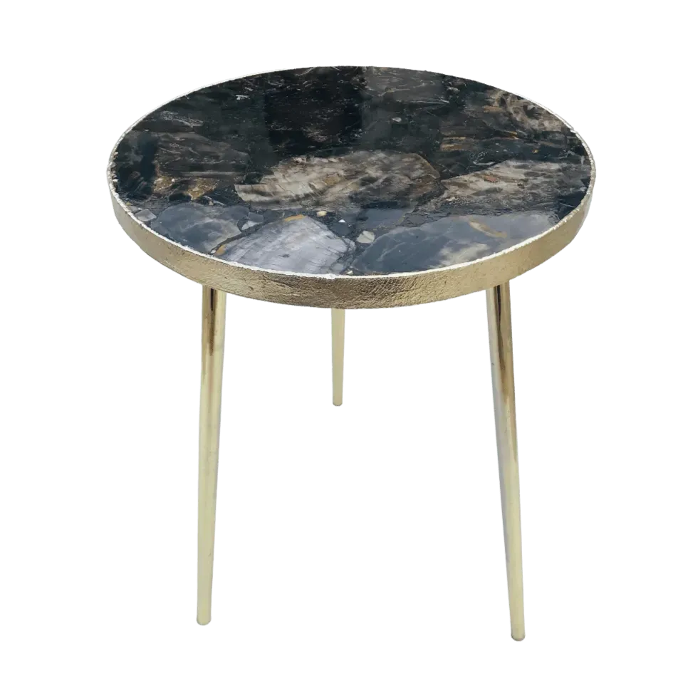 Black Petrified Wood Agate Round Edge Side Table