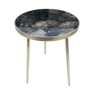 Black Petrified Wood Agate Round Edge Side Table