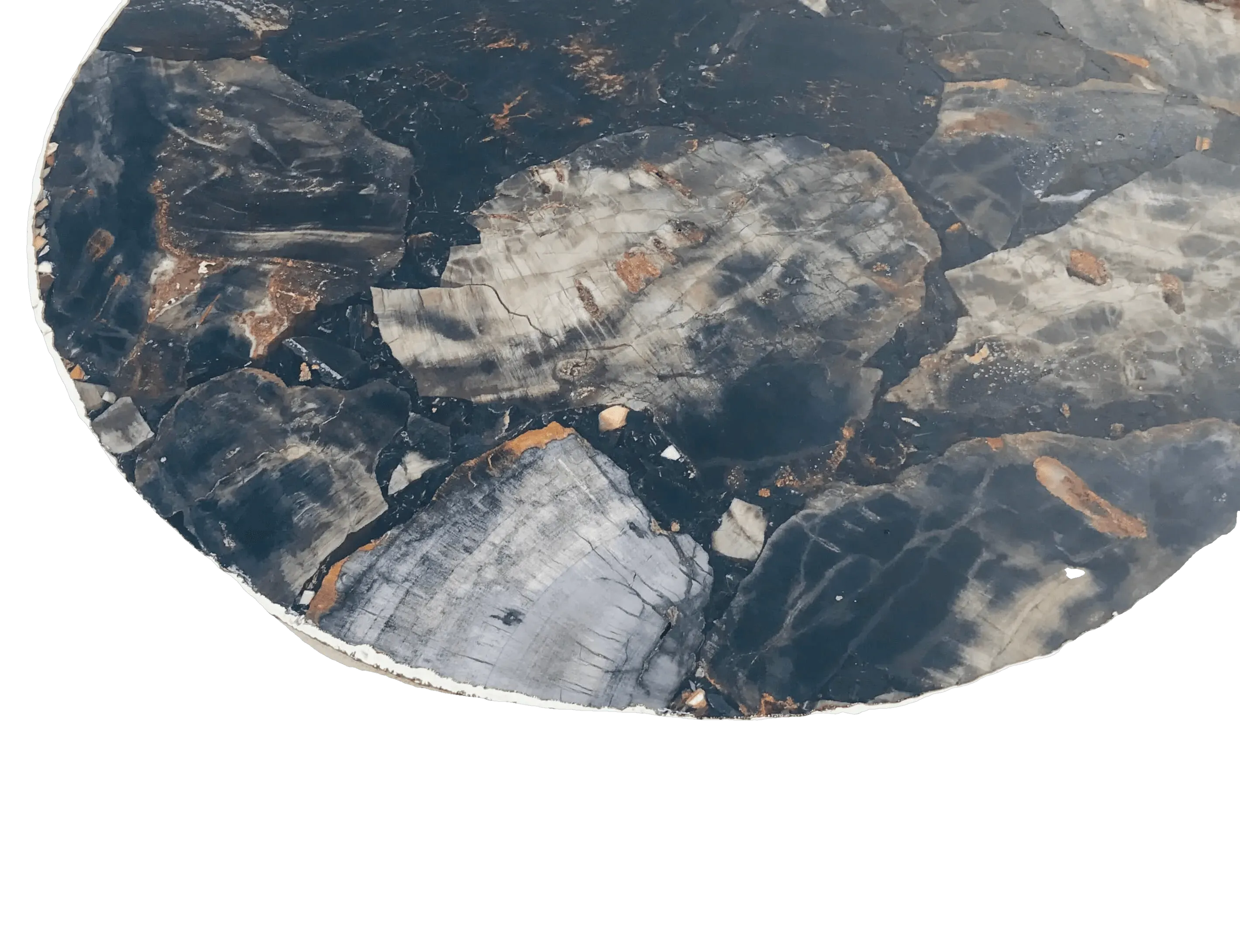 Black Petrified Wood Agate Round Edge Side Table