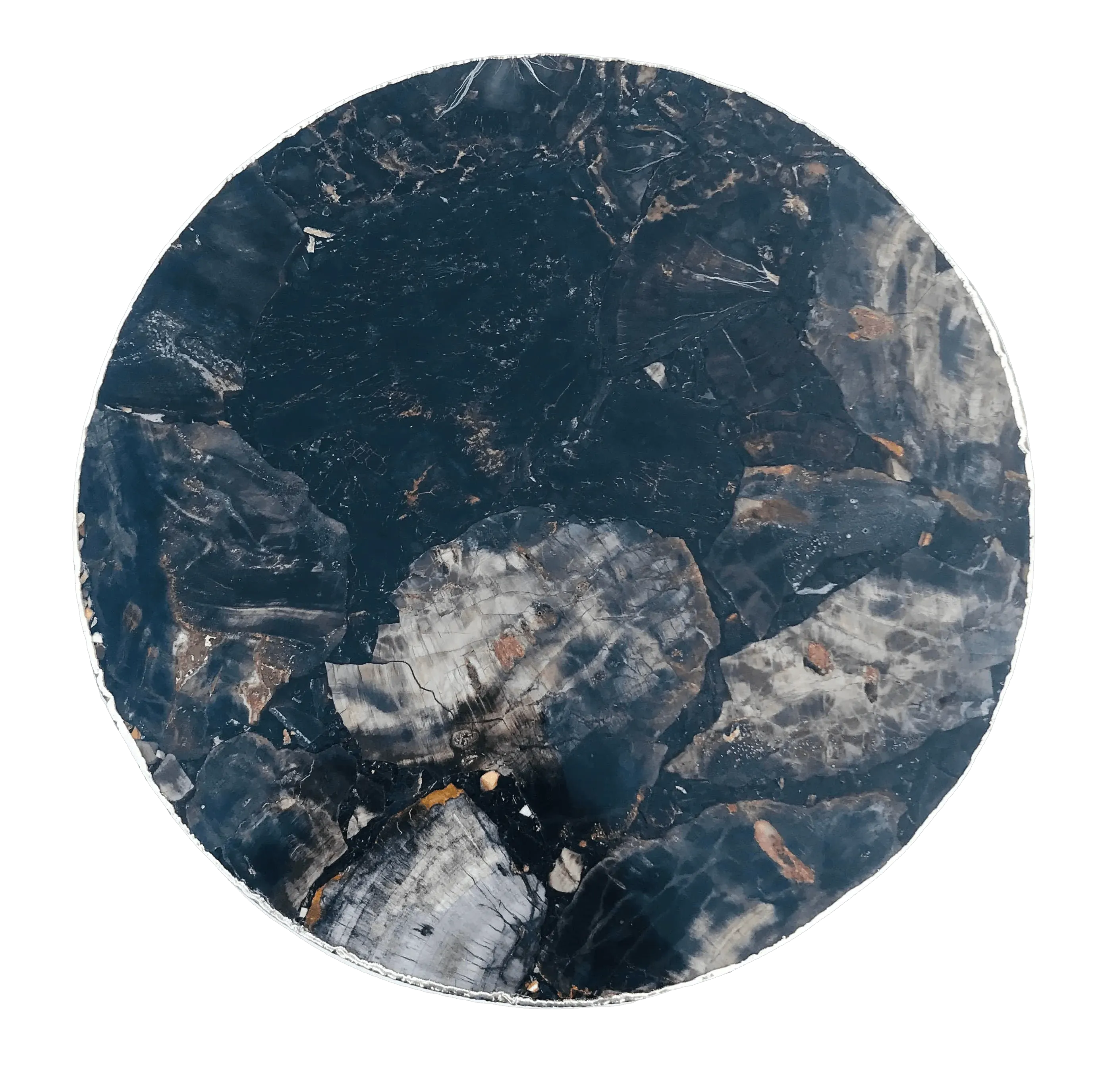 Black Petrified Wood Agate Round Edge Side Table