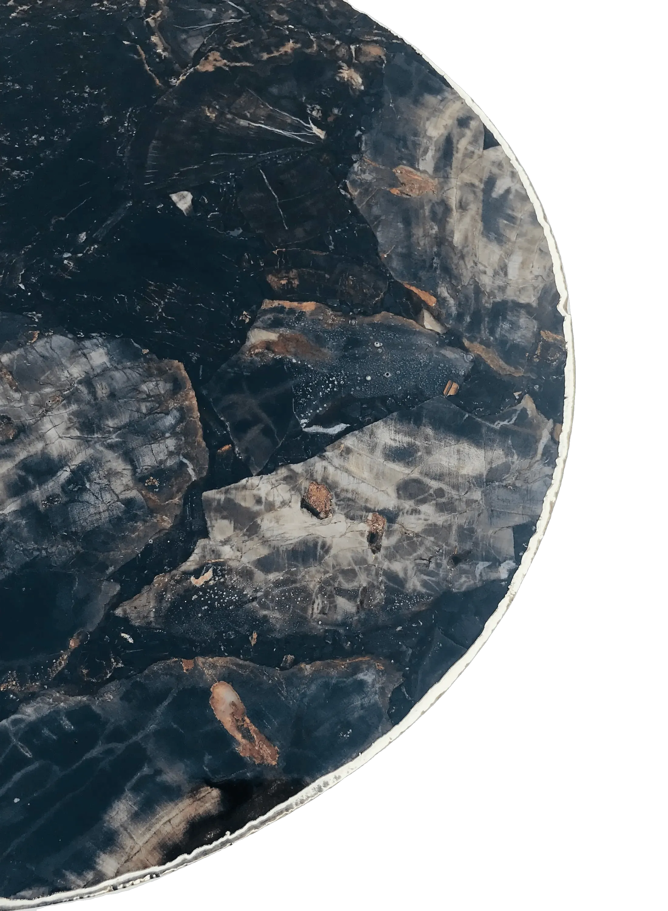 Black Petrified Wood Agate Round Edge Side Table