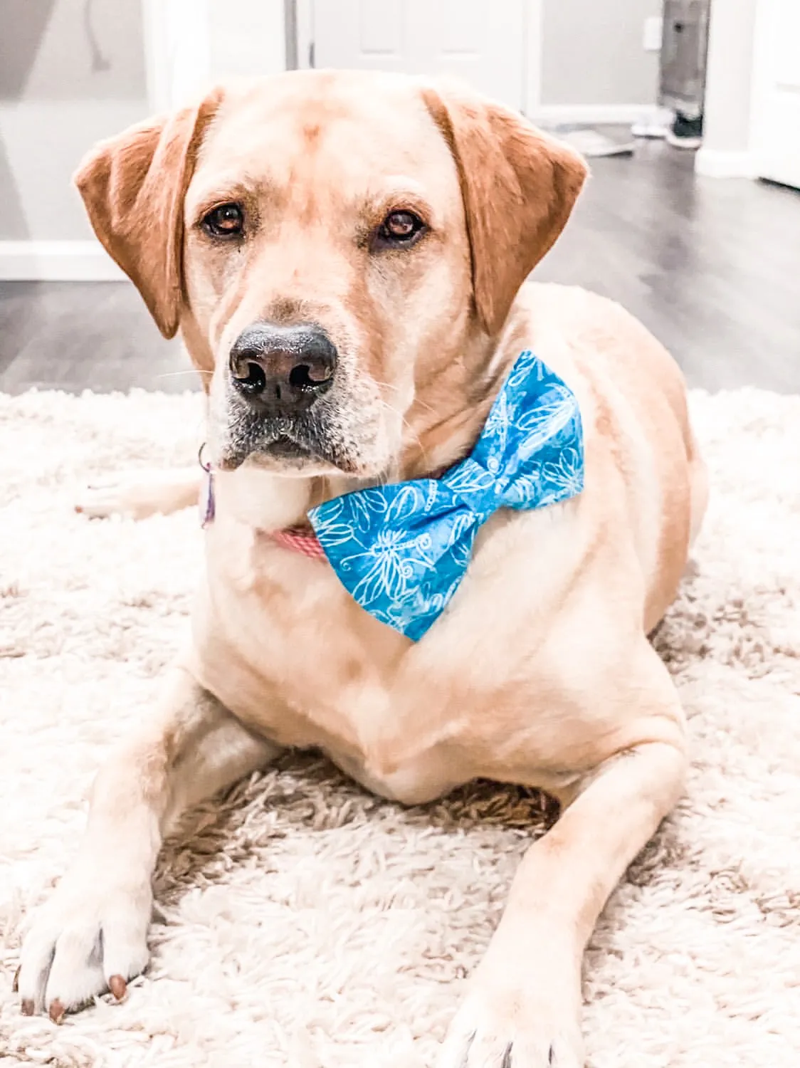 Easter Plaid Bow