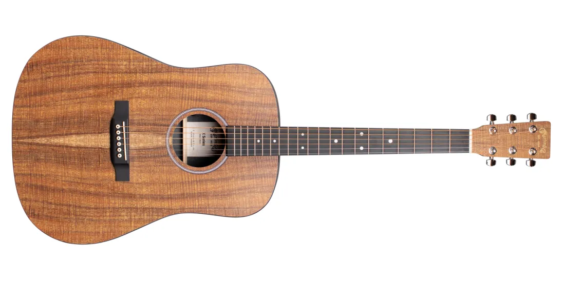 Martin & Co. D-X1E X Series, Koa w/Gig Bag