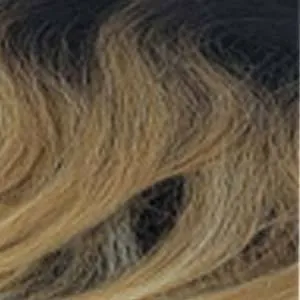 Outre Converti Cap Synthetic Hair Wig - HONEY BUNCHES