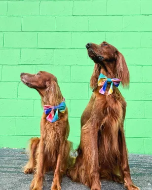 Over The Rainbow Dog Lady Bow