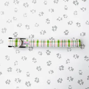 Paddy's Plaid Collar