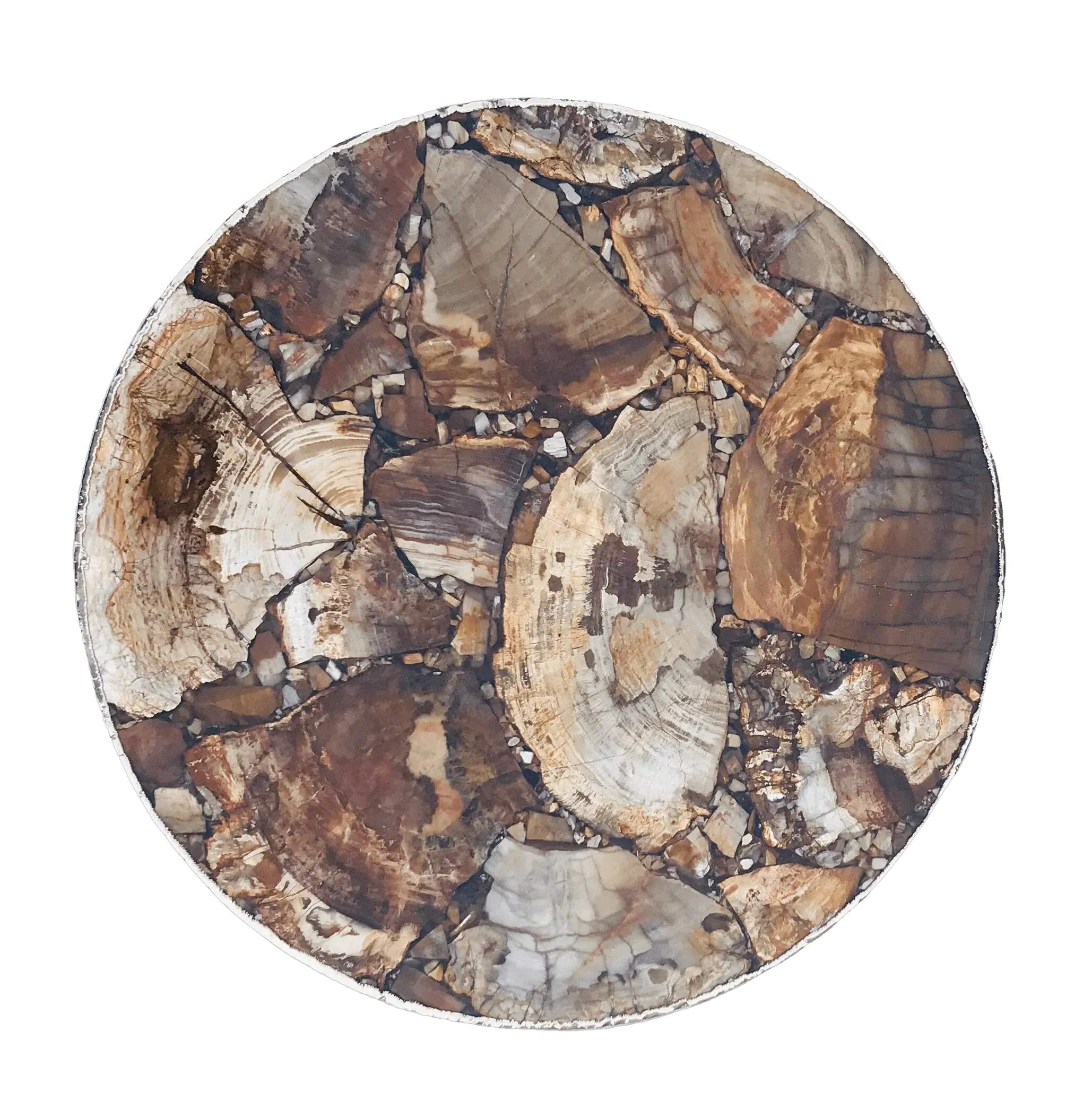 Petrified Wood Agate Round Edge Side Coffee Table