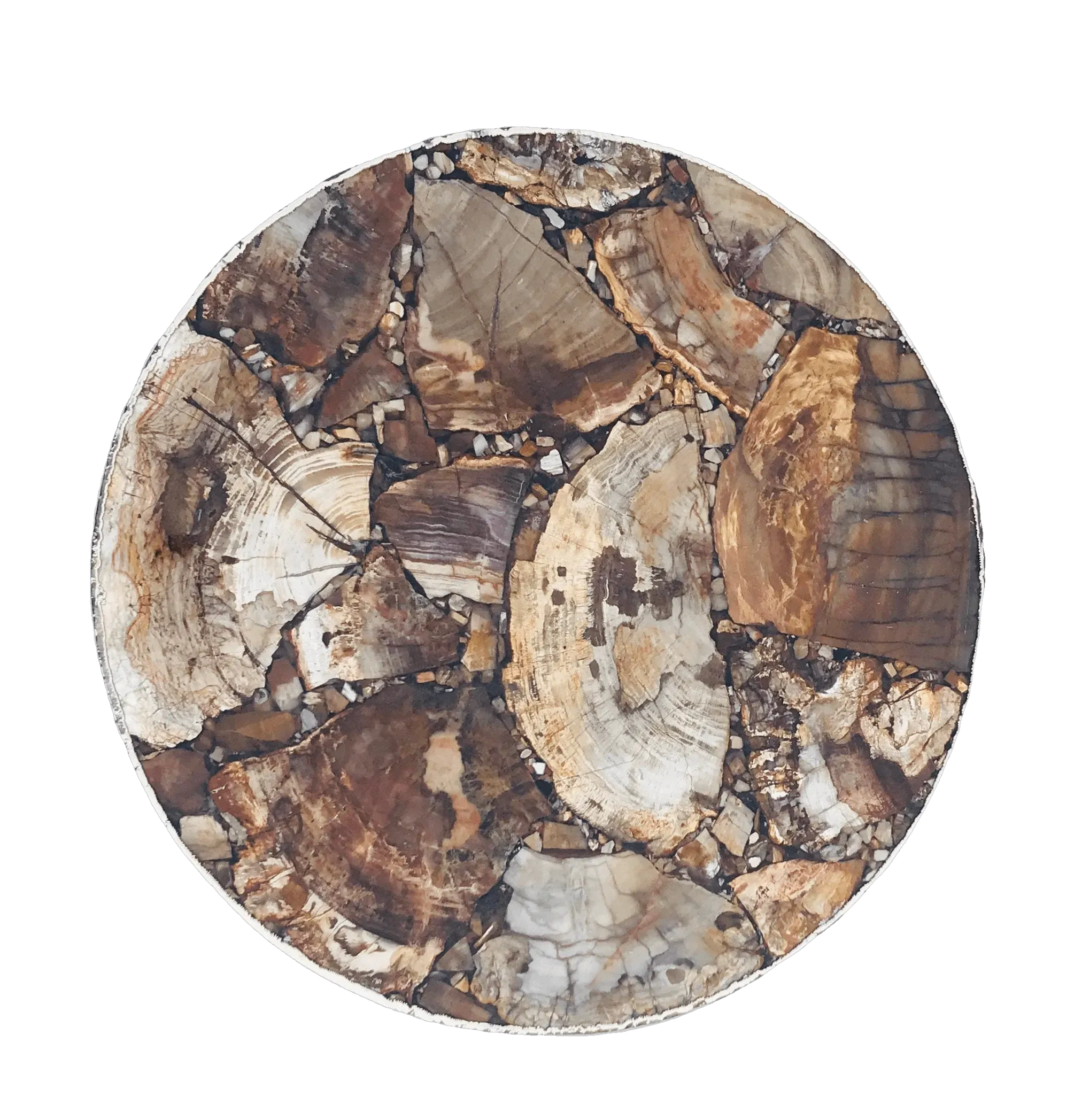 Petrified Wood Agate Round Edge Side Coffee Table