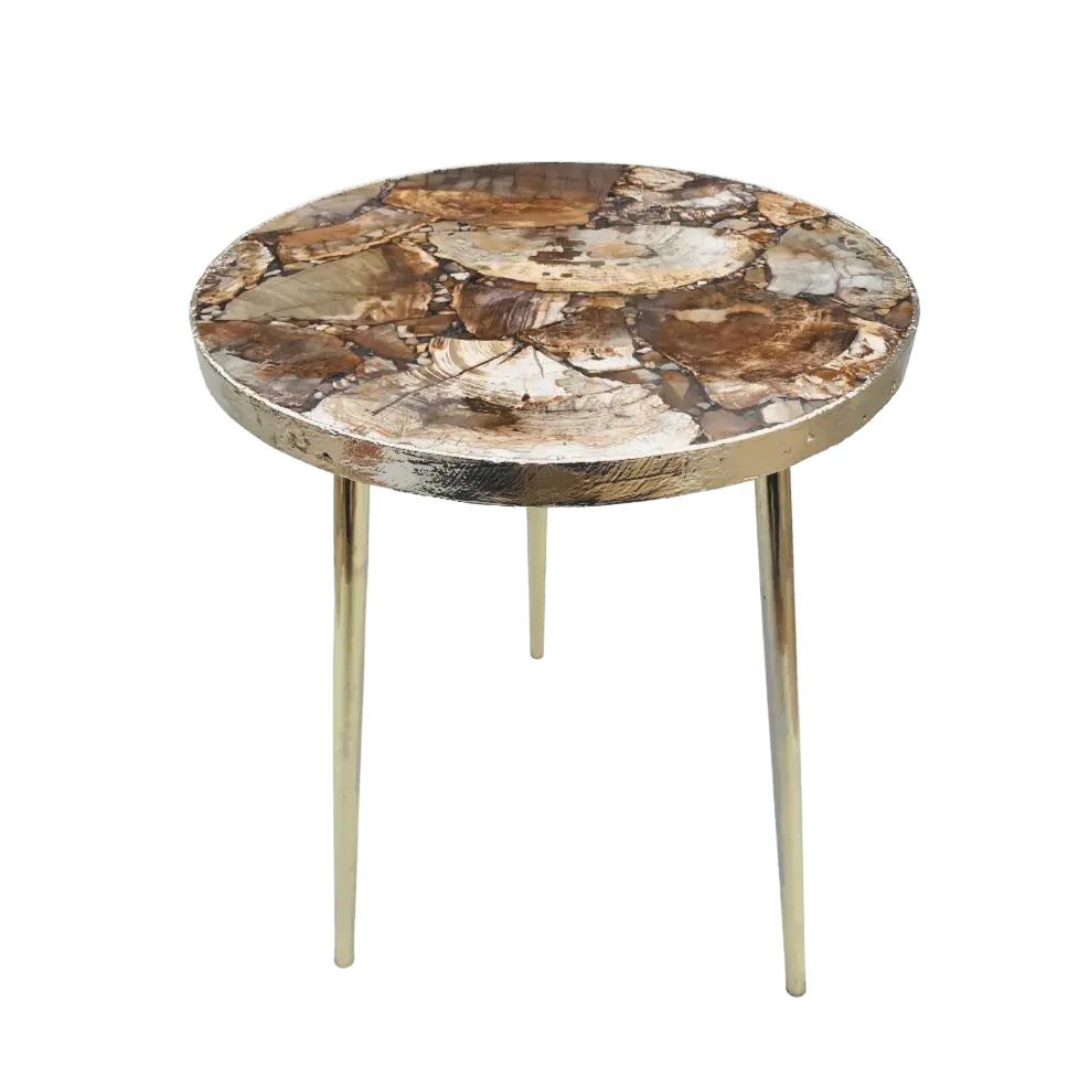 Petrified Wood Agate Round Edge Side Coffee Table