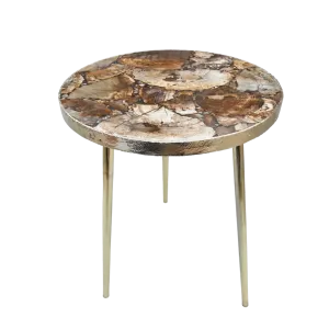 Petrified Wood Agate Round Edge Side Coffee Table