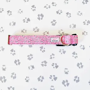 Sharks in Pink Collar
