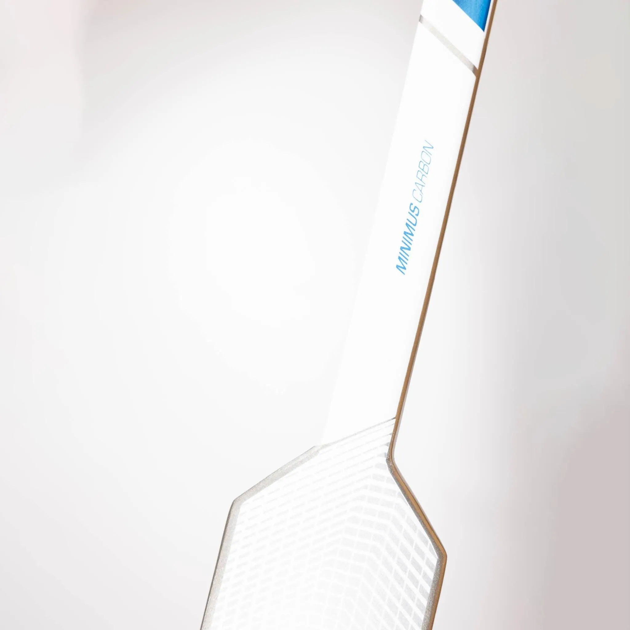 Warrior Ritual V2 E Senior Goalie Stick
